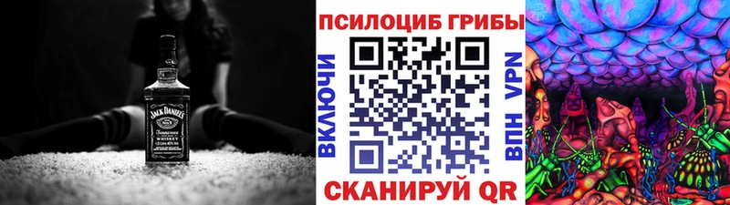 Галлюциногенные грибы Psilocybine cubensis Тосно